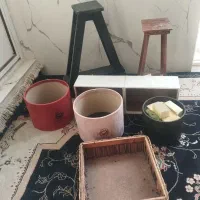جاگلدونی یا باکس گل