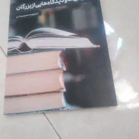 نگرش ها ودیدگاهایی از بزرگان