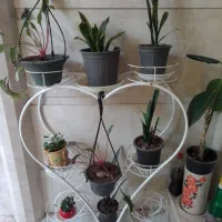 2 جای استند جای گلدان