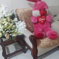 خرس پوفی
