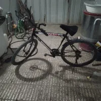 دوچرخه 26|دوچرخه، اسکیت، اسکوتر|علی‌آباد کتول, |دیوار