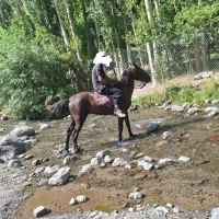 نریان یورقه واقعی