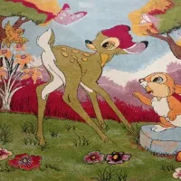 یک جفت فرش کودک