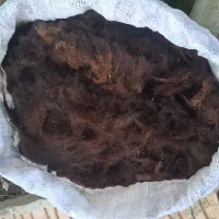 پشم‌گوسفند