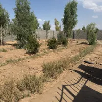 زمین سنددار مرق چهار دیواری