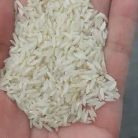 طارم هاشمی معطر