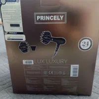 سشوار آکبند PRINCELY|آرایشی، بهداشتی، درمانی|فردوسیه, |دیوار