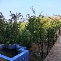 اجاره خانه باغ مهریز|اجارهٔ کوتاهمدت ویلا و باغ|یزد, |دیوار