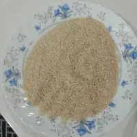 نیم دانه