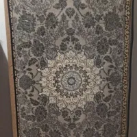 یه جفت پشی نونو