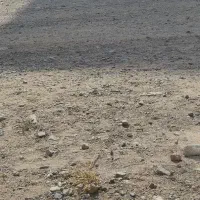 زمین-جاده-باغرود-بوشراباد