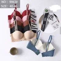 لباس زیر زنانه و دخترانه|لباس|شیراز, کوشک میدان|دیوار