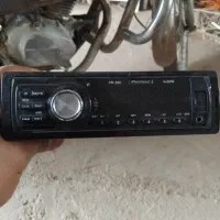 ضبت