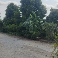 خونه باغی با فضایی دلچسب وبزرگ