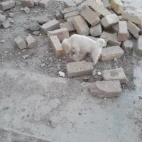 زمین مبارک آباد.حاجی آباد آقا