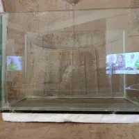 یک عدد آکواریوم|ماهی|مرند, |دیوار