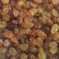 کشمش پلویی ( تیزابی )  بصورت تناژ