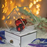 باکس وجعبه گل رزجاودان نارسی هدیه|گل و گیاه طبیعی|تهران, دولاب|دیوار