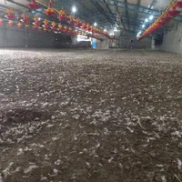 کود مرغی کود حیوانی|خدمات باغبانی و درختکاری|بهبهان, |دیوار