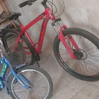 دو عدد دوچرخه