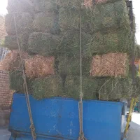 خرید وفروش یونجه وعلف