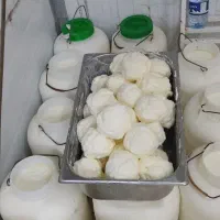 ماست محلی گاو و کرع محلی اصل گوسفندی