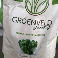 بذر اسفناج هیبریدF1 رویال|عمده‌فروشی|گرگان, |دیوار