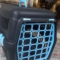 باکس گربه