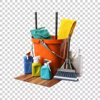 خانم برای کارهای منزل