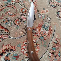 چاقوی فریاد