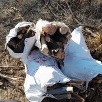 چوب خشک|عمدهفروشی|سقز, |دیوار