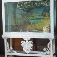 آکواریوم با قفسه