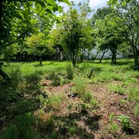 فروش زمین ۲۲۰۰ متری باغی ،گلخانه،طبیعت/آناملک|فروش زمین و ملک کلنگی|رشت, منظریه|دیوار