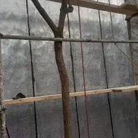 نمایندگی ایزوگام دلیجان|خدمات پیشه و مهارت|لاهیجان, یوسف آباد|دیوار