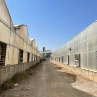 ۵۰۰۰ متر زمین ۴۰۰۰ متر گلخانه