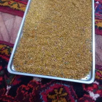 فروشی|خوردنی و آشامیدنی|بستان آباد, |دیوار