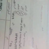 شناسنامه