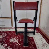 دستگاه پرس سینه چندکاره و دستگاه لاری جلو بازو|تجهیزات ورزشی|نجف‌آباد, ویلاشهر|دیوار