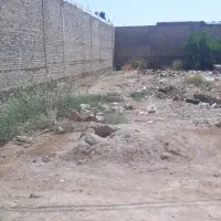 فروش زمین طلا ۳۱۰ متری با کمترین قیمت در ام تمیر|فروش زمین و ملک کلنگی|اهواز, اسماعیلیه|دیوار