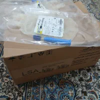 کیسه فصد خون|پزشکی|پرند, فاز ۲|دیوار