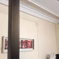 رخت اویز|بندرخت و رخت‌آویز|تهران, تهرانپارس شرقی|دیوار