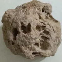 یک عدد سنگ کلکسیونی