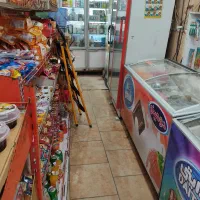 یخچال صنعتی  مغازه ایستاده وخوابیده .