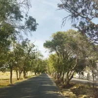 500 متر باغ.سند تک برگ.داخل بافت.ملارد