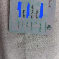 مدارک شناسایی گم شده