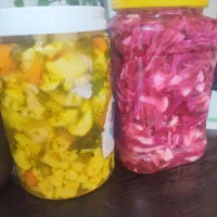 ترشی خوشمزه کاملا بهداشتی|خوردنی و آشامیدنی|تهران, مسعودیه|دیوار