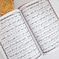 قرآن های عروس، رنگی،حفظ،مورداستفاده مساجدو روزمره|کتاب و مجله مذهبی|تهران, آرژانتین|دیوار