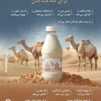 شیر و دوغ شتر  تازه مستقیم از دامداری|خوردنی و آشامیدنی|مشهد, وحید|دیوار
