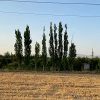 فروش فوری باغ موقعیت وقیمت بسیار مناسب