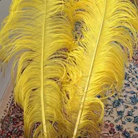 حیوان علامت (نقره وطلا کوب ساده شال کتیبه وپر)|کلکسیون اشیاء عتیقه|رشت, دیلمان|دیوار